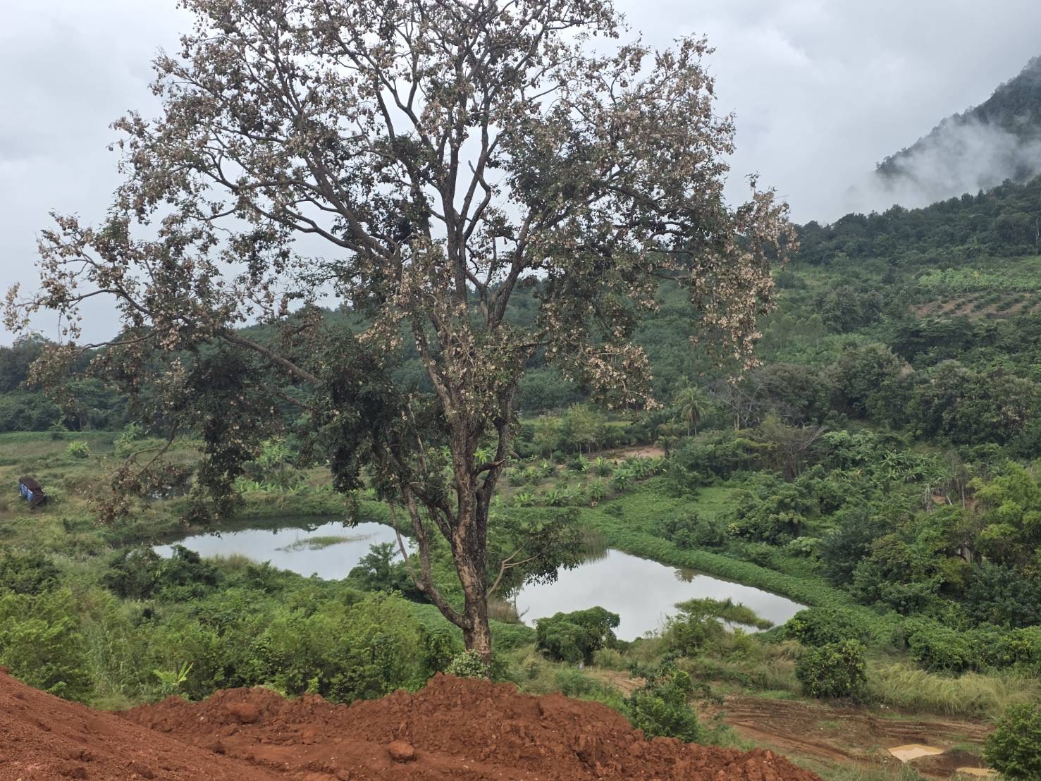 กพร. ร่วมลงพื้นที่ติดตามตรวจสอบกรณีเรื่องร้องเรียนการลักลอบขุดแร่เหล็กเถื่อนในพื้นที่ป่าลุ่มน้ำ A บ้านผาแบ่น จ.เลย