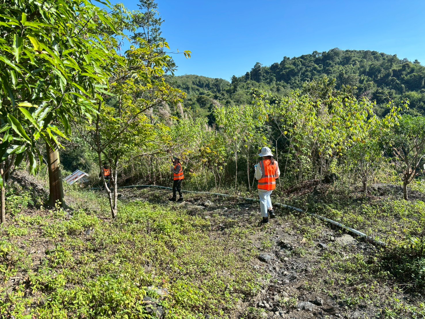 เจ้าหน้าที่ กว. ลงพื้นที่สำรวจขุมเหมืองเก่าในพื้นที่ จ.เลย และ จ.เพชรบูรณ์