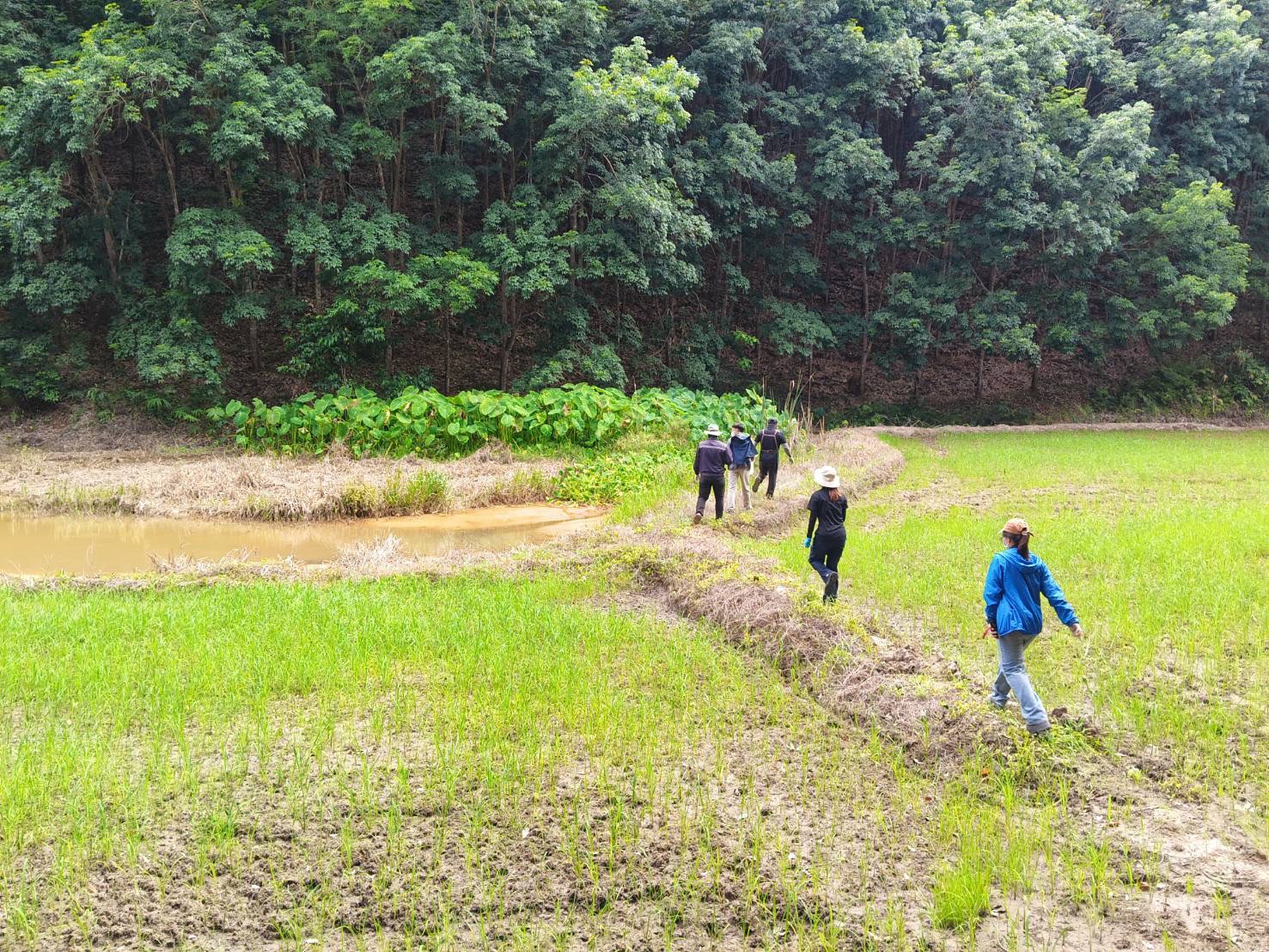 กบส. และ สรข.2 ร่วมประชุมคณะทำงานเก็บตัวอย่างน้ำเพื่อตรวจสอบวิเคราะห์คุณภาพน้ำในบริเวณโดยรอบ บริษัท ทุ่งคำ จำกัด